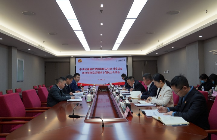 尊龙凯时集团党委书记、董事长任丁出席安逸酒店集团2022年度党员领导干部民主生活会